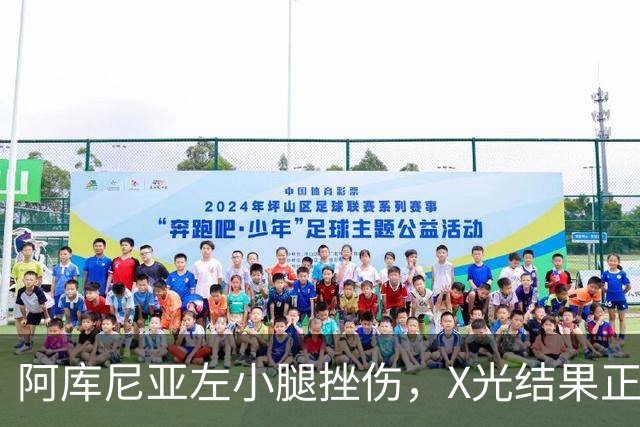 阿库尼亚左小腿挫伤，X光结果正常，待日常观察恢复